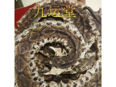 支持药检正品养殖蕲蛇 蛇干 人工饲养五步蛇干 中药材批发图3
