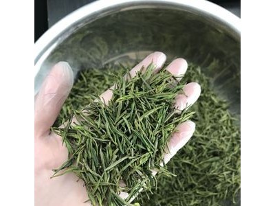 白茶批发 2021新茶散装绿茶 500茶农直销 农副产品安吉茶农直销图3