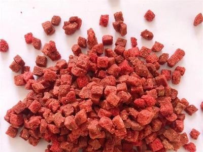 厂家供应草莓粒冻干草莓粒FD草莓浆粒烘焙原料装饰草莓碎现货散装图4