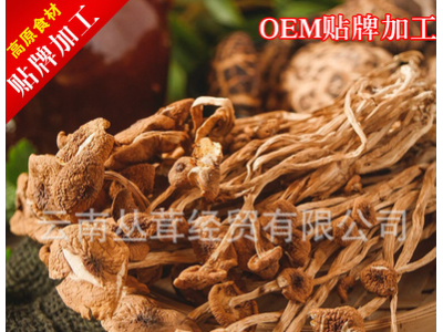 茶树菇干货散装金针菇炖汤煲汤食用菌展销会地摊批发图5