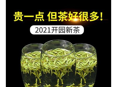 原产地2021新茶高山绿茶黄山毛峰 散装绿茶500g 一件代发云雾毛峰图2