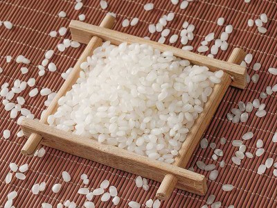 高氏禾田珍珠米东北特产当季新米5kg 10斤袋东北大米厂家直批代发图4