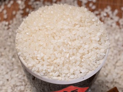 高氏禾田珍珠米东北特产当季新米5kg 10斤袋东北大米厂家直批代发图3
