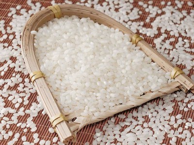 高氏禾田珍珠米东北特产当季新米5kg 10斤袋东北大米厂家直批代发图2