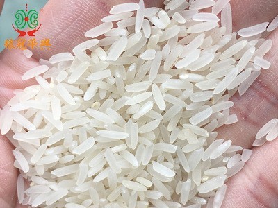 厂家出售 广东台山六星丝苗米 10kg一级非抛光大米 一件代发图2
