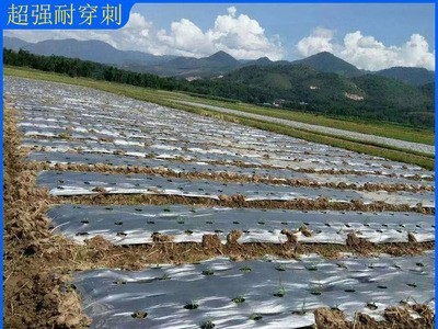 供应银黑双色薄膜 黑银双色反光防虫地膜农用打孔地膜/薄膜图3