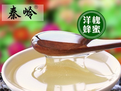 秦岭农家洋槐蜂蜜435g真蜂蜜 成熟洋槐蜂蜜 一件代发图4