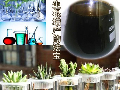 冲施肥 液体水溶肥料 腐殖酸钾 生物有机肥 生根促长氨基酸水溶肥图4