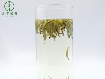 广西特产 茉莉花茶 绿茶 一品兰雪 源头厂家 散装批发 500克图2