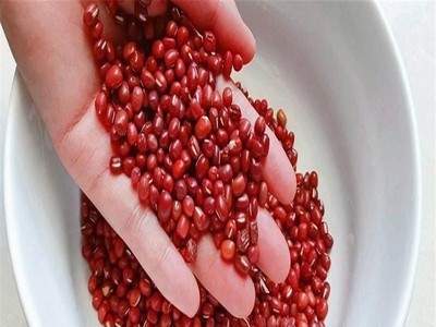厂家批发树掌芙蓉加工农产品红小豆杂粮早餐磨粉材料红豆图3