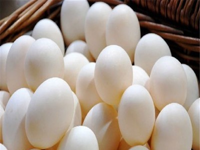 厂家直供树掌芙蓉散养土鸡蛋绿色食品农家草鸡蛋现捡现发50枚包邮图4