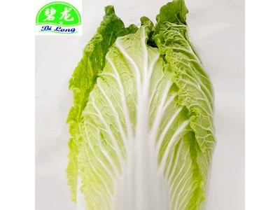 常年大量供应2021保鲜蔬菜各种包菜类圆包菜扁包菜紫甘蓝图3