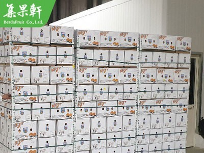 埃及夏橙30斤装 水果批发货源 电商茶饮榨汁机加工适用新鲜酸橙图3