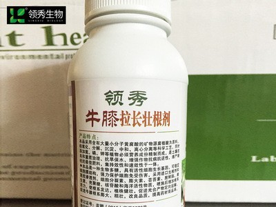 供应牛膝专用叶面肥图5