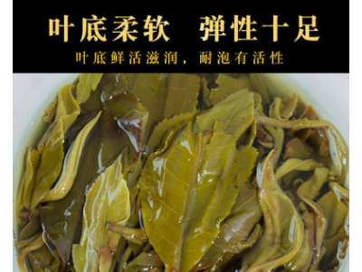 现货批发 大雪山龙珠 云南普洱茶生茶 散装春茶 厂家直发图5