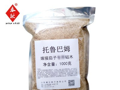 野生托鲁巴姆砧木种子茄子 辣椒 番茄嫁接砧木种子散装托鲁巴姆籽图5