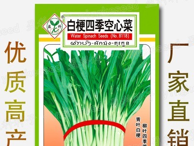 8克白梗四季空心菜种籽 青叶通菜藤藤菜柳叶通心菜 蔬菜种子批发图4