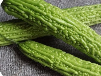新鲜蔬菜 苦瓜 白苦瓜 青苦瓜 放心菜 批发图2