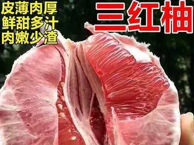 福建三红蜜柚纯甜新鲜柚子纯甜孕妇水果一件代发现摘发货整箱包邮图2