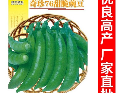 批发菜园蔬菜种子奇珍76甜脆豌豆15克盆栽阳台院子菜籽厂家直销图5