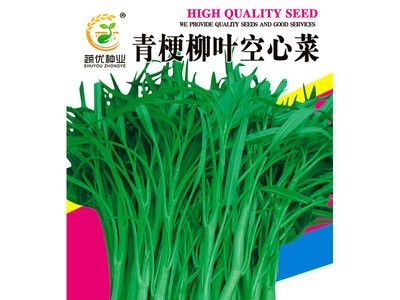 批发菜园蔬菜种子青梗柳叶空心菜10克盆栽阳台院子菜籽厂家直销图3