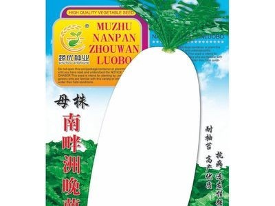 批发菜园蔬菜种子母株南畔洲晚萝卜25克盆栽阳台院子菜籽厂家直销图2