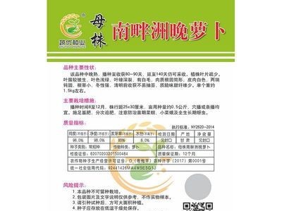 批发菜园蔬菜种子母株南畔洲晚萝卜25克盆栽阳台院子菜籽厂家直销图3