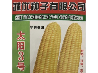 批发菜园蔬菜种子 泰系超甜玉米种子 太阳3号400克装蔬菜基地菜籽图5